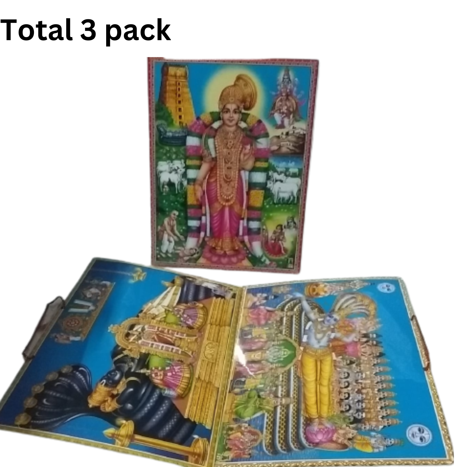 Photo Frame Lord  1, Lord Ranganathaswamy Photo  2, , Lord Anantha Padmanabha Swamy Photo 3, Andal Amman Religious Photo Total 3  combo Photo Laminations (Length : 9 inch/height : 12 inch)  Total 3